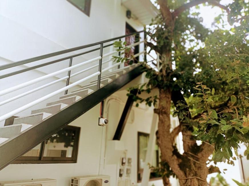 Alona Whitehouses Resort Đảo Đảo Panglao Ngoại thất bức ảnh